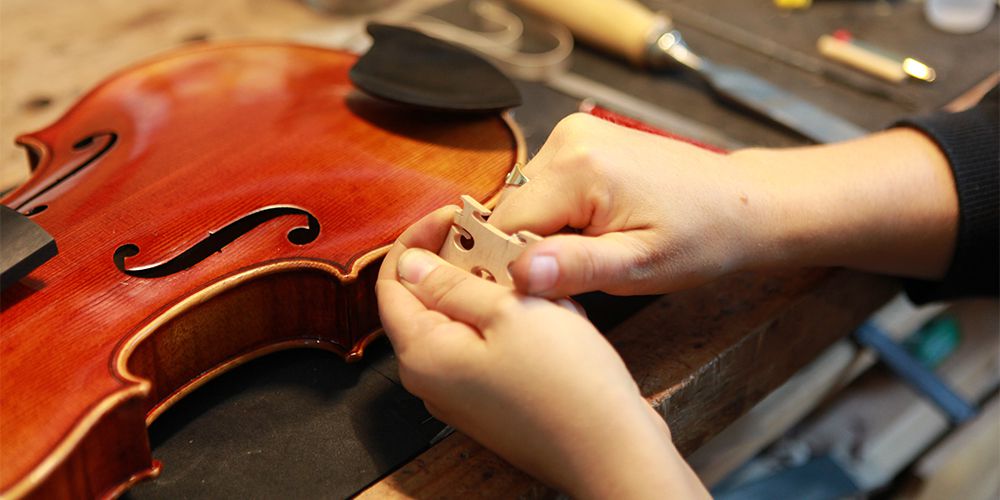 What is a Professional String Instrument Setup?