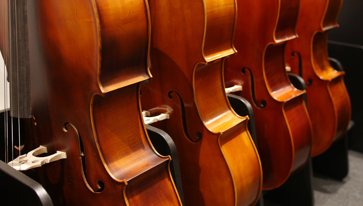 What size cello do I need? — The Sydney String Centre