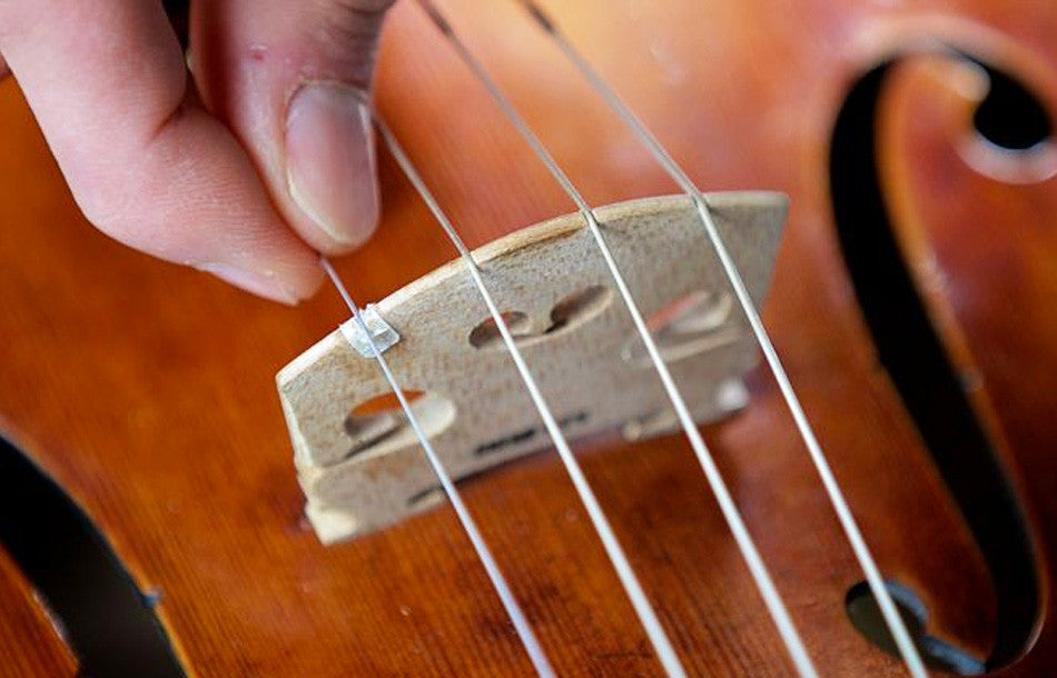 What Are Strings Made Of? — The Sydney String Centre