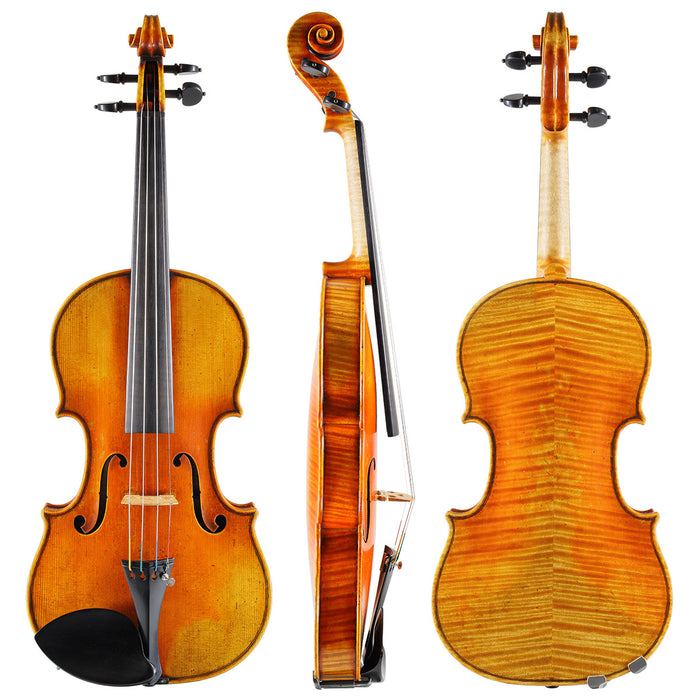 Violin - Alberto Cassutti, Padova 2024