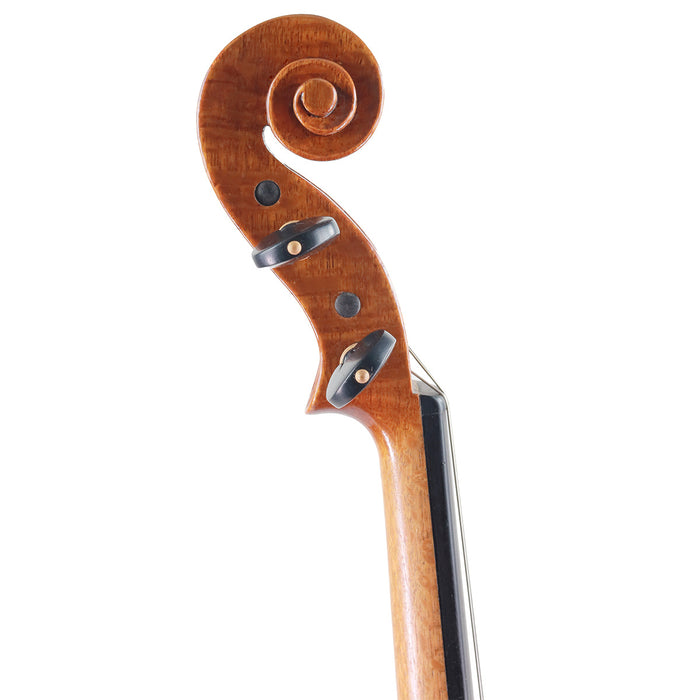 WG Luk Silky Oak Sydney 2025 Violin