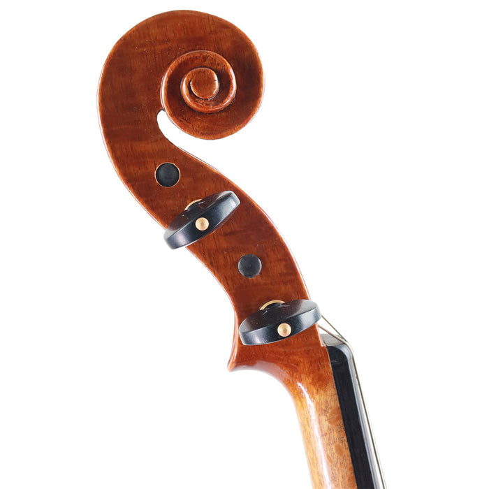 WG Luk Silky Oak Sydney 2025 Violin