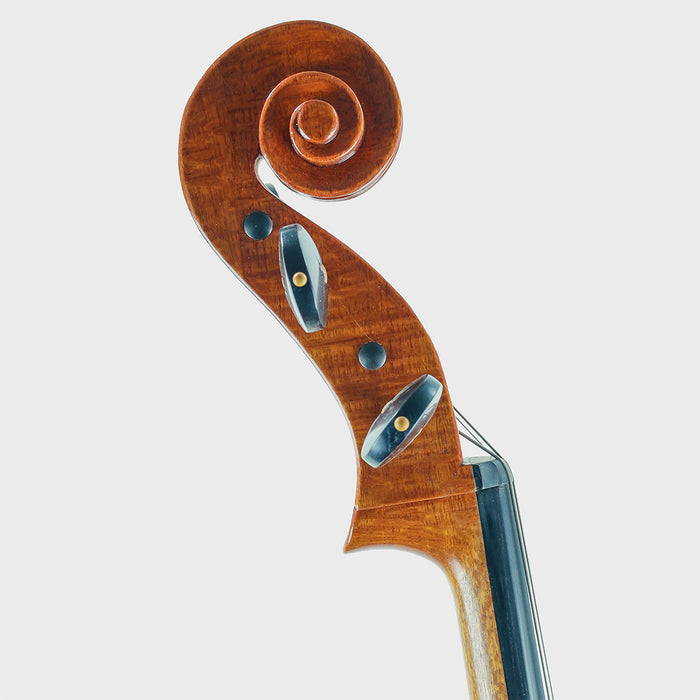 WG Luk Silky Oak Cello 2022 018