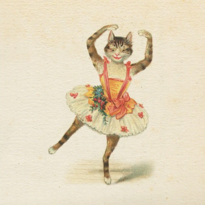 Greeting Card - Ballerina Cat