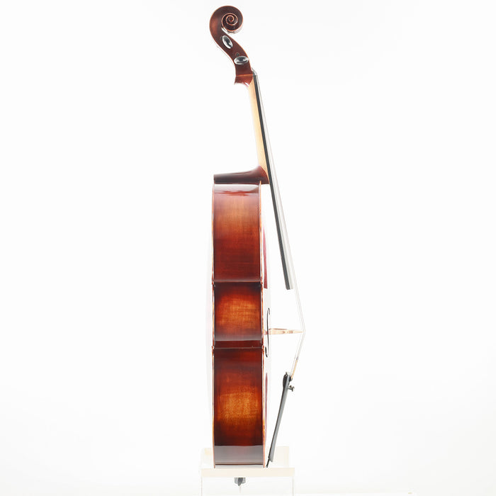 Second Hand Schroeder #100 Cello 1/2 No.004