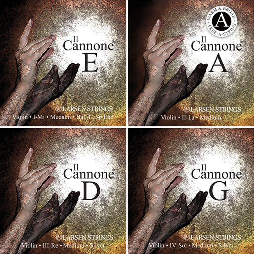 Advancing Student Instrument and Accessories Package Violin 4/4