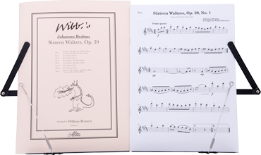 Music Stand - Hercules Desktop Music Stand BS010BB