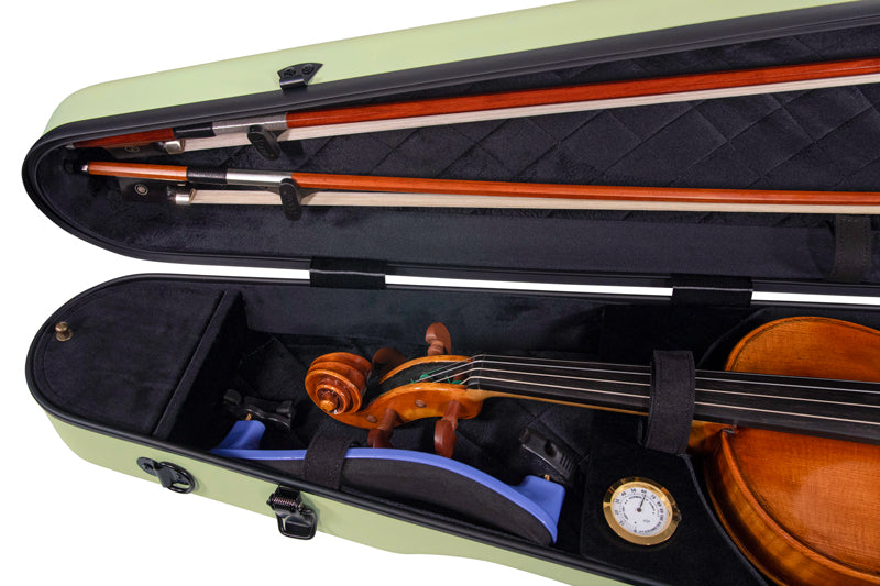 RAAN Shaped Violin Case Spring Grass 1/2-1/4