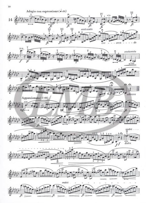 Rode - 24 Caprices - Violin Solo edited by Garay EMB Z2453
