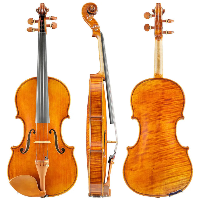 Scrollavezza and Zanre "Orfeo" Violin Parma Italy 2008