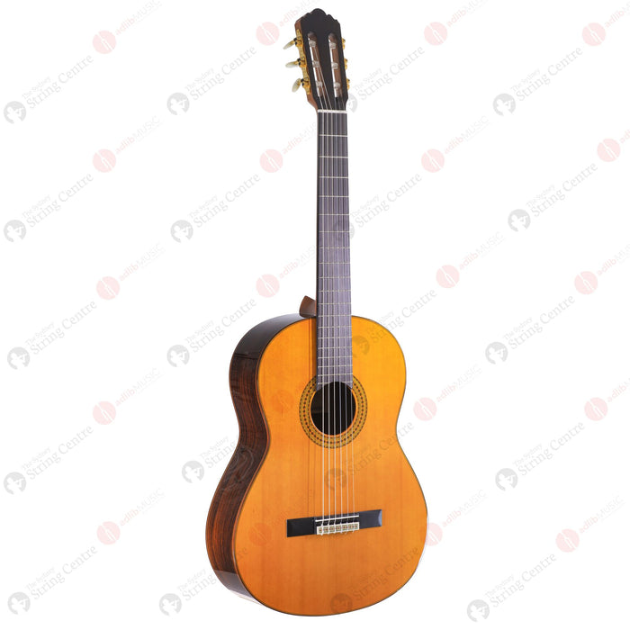 Yamaha GC22C Classical Guitar with Reinforced Bag
