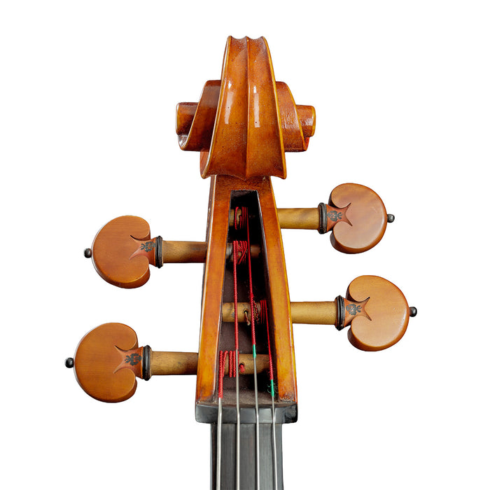 Andrea Schudtz Cello Cremona Italy 2025