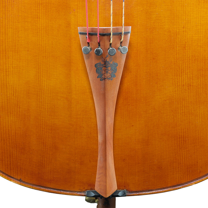 Andrea Schudtz Cello Cremona Italy 2025