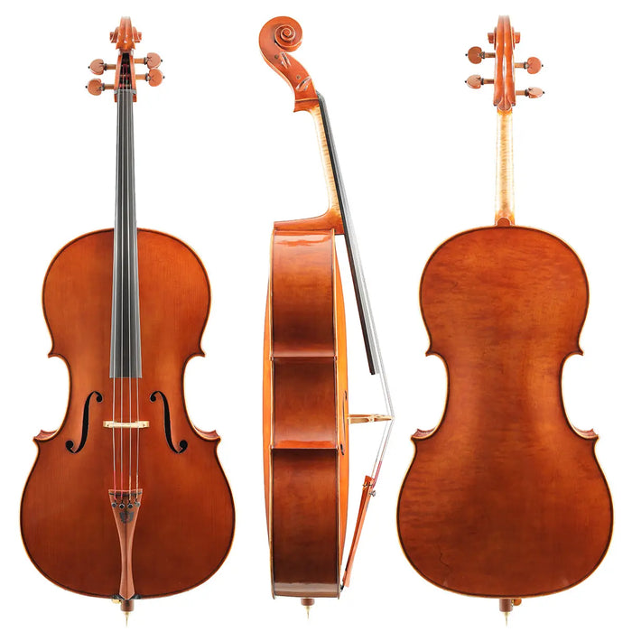 Andrea Schudtz Cello Cremona Italy 2025