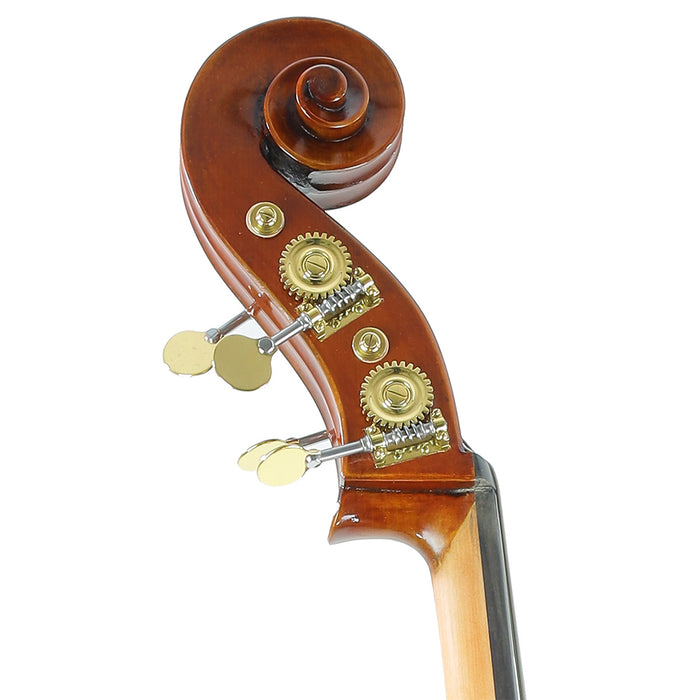 Eastman Pietro Lombardi VB502 Double Bass with Violin Corners 3/4