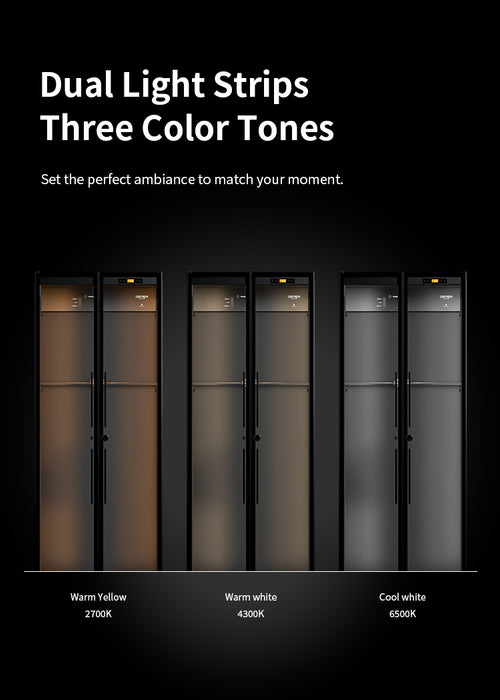 Lenthem CMI-925DT Humidity Control Cabinet for Double Bass Black