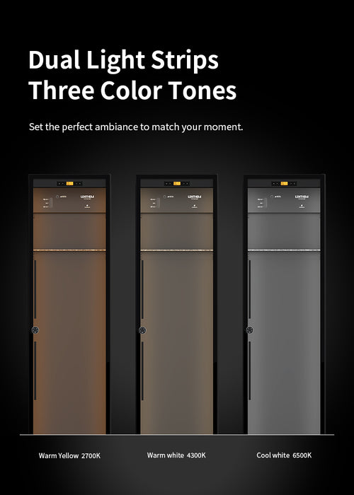 Lenthem CMI-345DT Humidity Control Cabinet for Guzheng Black