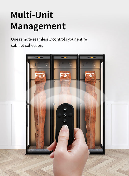 Lenthem CMI-345DT Humidity Control Cabinet for Guzheng Black