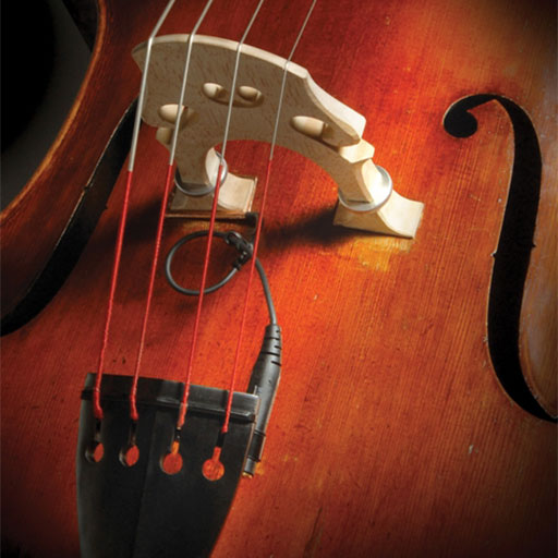 Realist WoodTone Piezo Transducer for String Bass