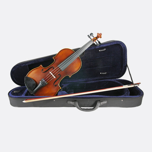Beginner Violins