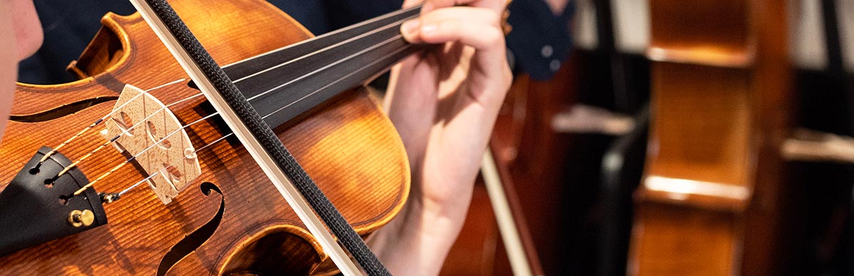 Violin on sale music shop