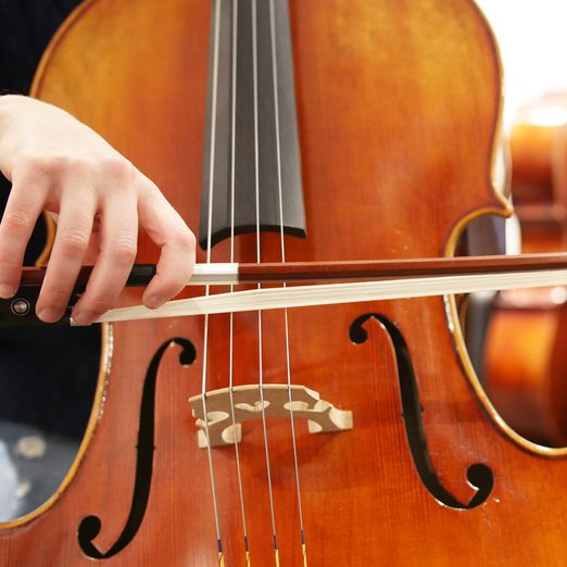 String Instrument Rentals | The Sydney String Centre
