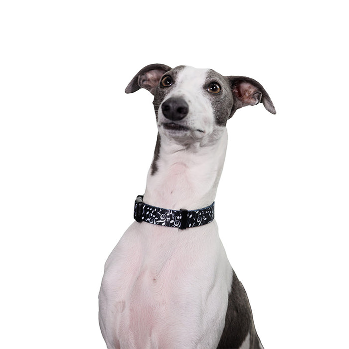 Dog Collar Small/Medium Black with White Notes