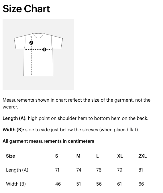 I Play Viola I'm Altonative T-Shirt LARGE