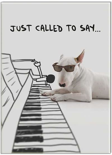 Greeting Card. Dog and keyboard.