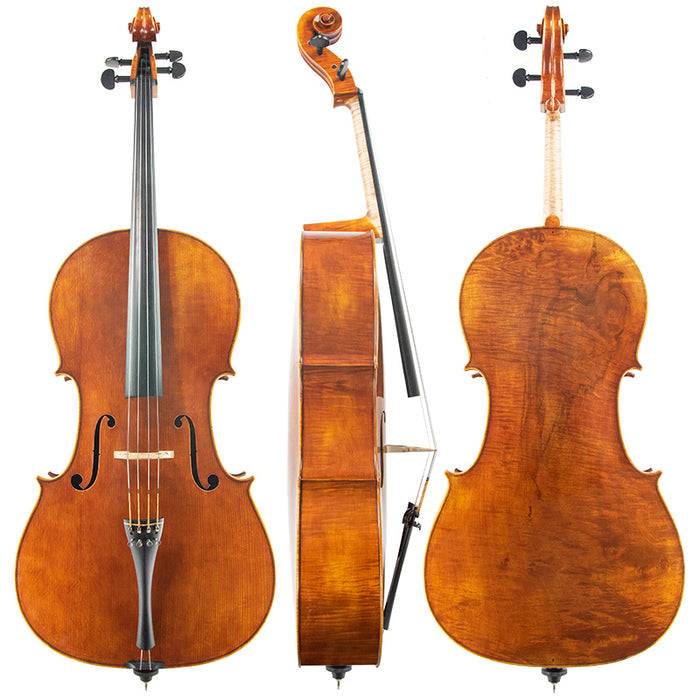 Hagen Weise Cello #360 Goffriller 2021 Bubenreuth Germany