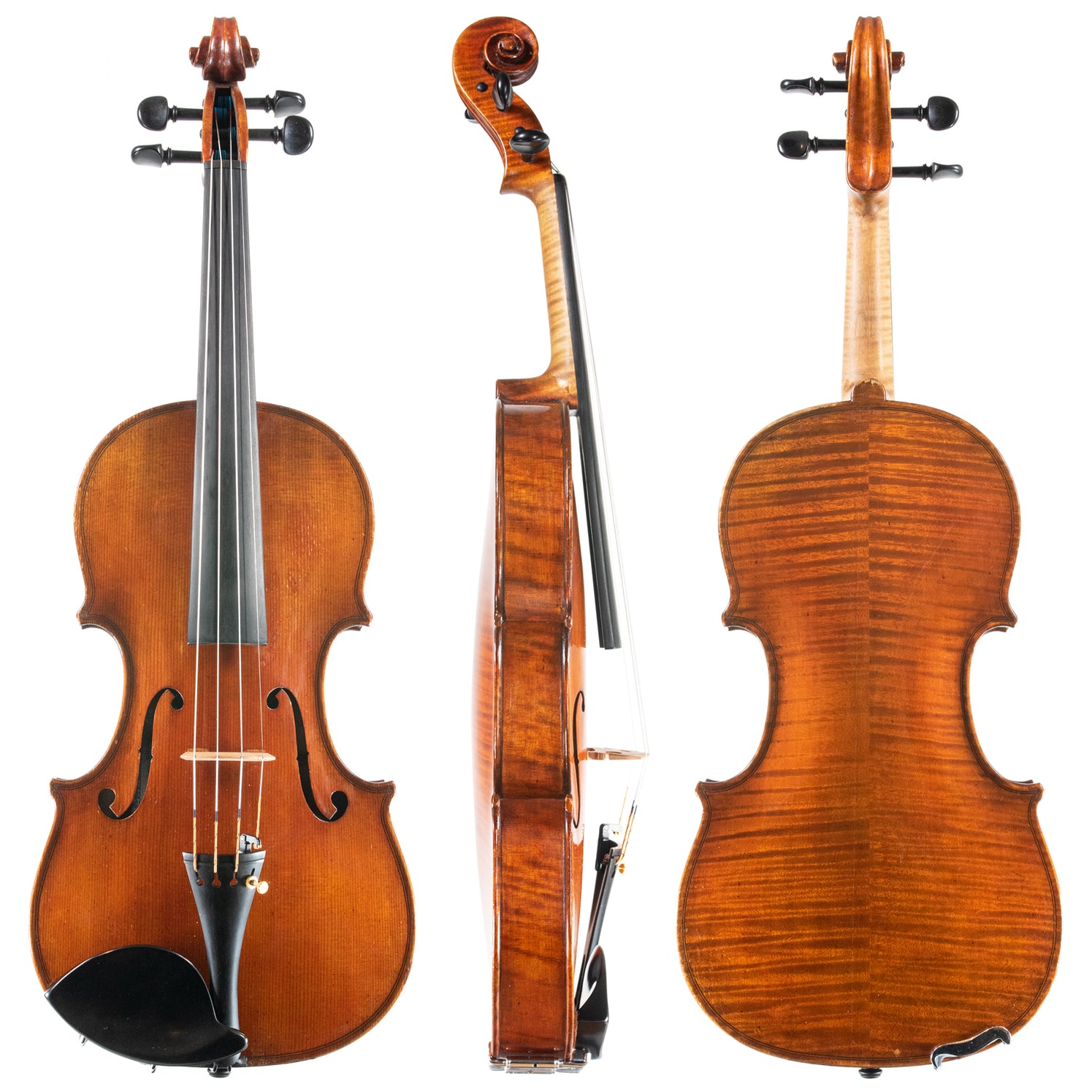 Professional Violins — The Sydney String Centre